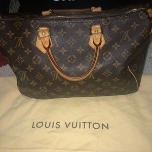 Louis Vuitton Handbag